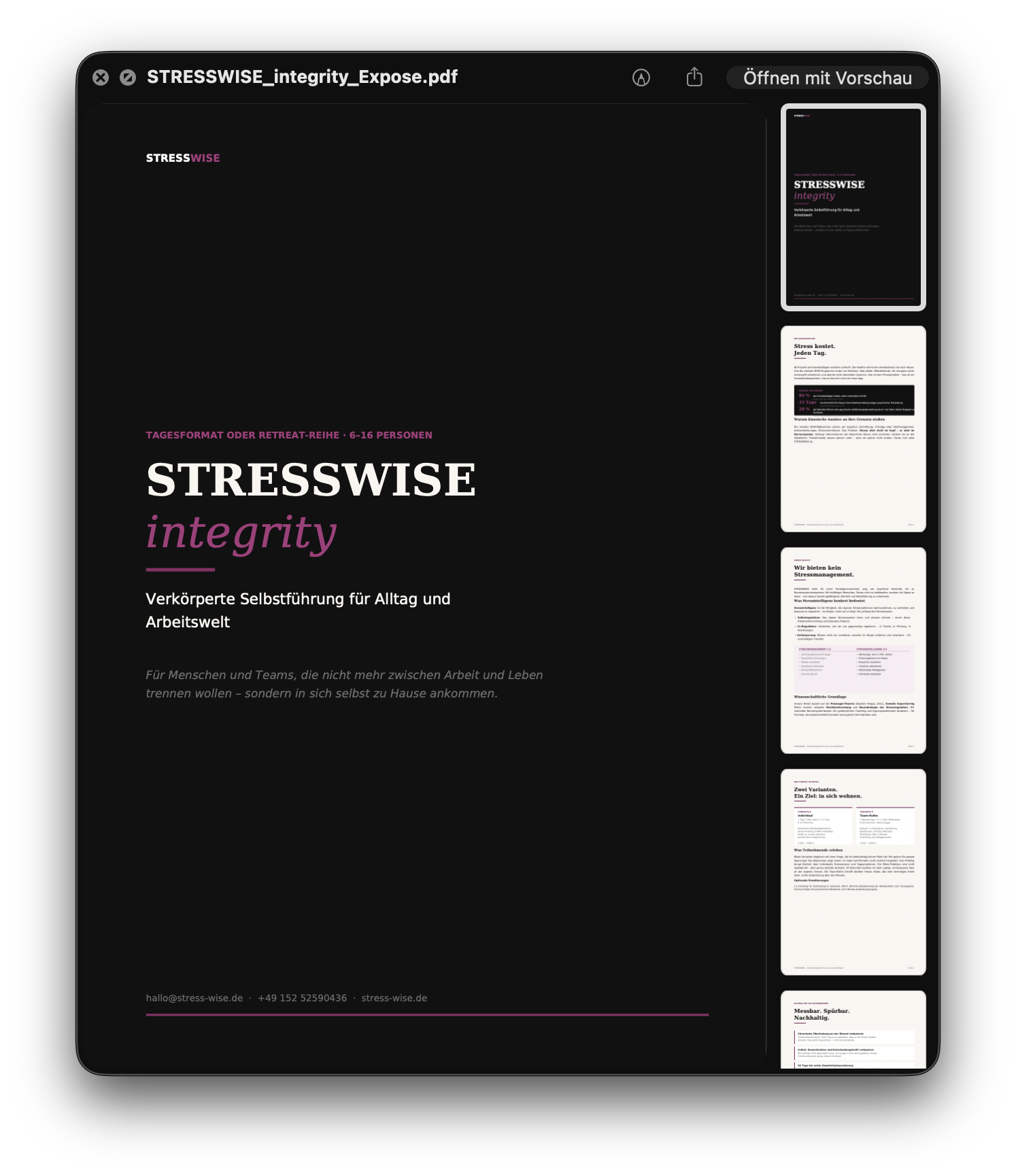 STRESSWISE integrity – Selbstführung