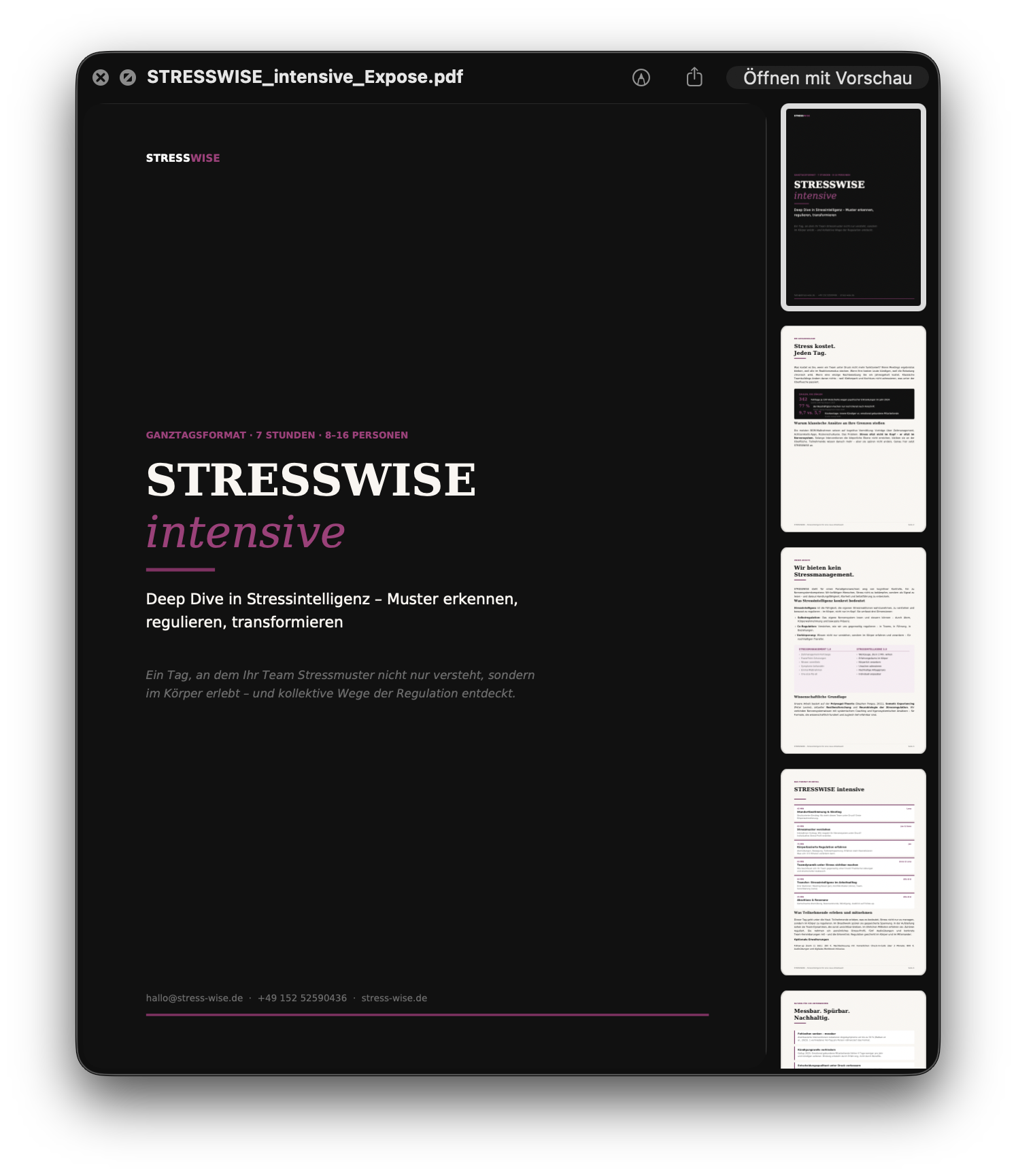 STRESSWISE intensive – Team-Workshop